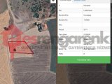 1060 RENGARENK TEN KIRKLARELİ LÜLEBURĞAZ KARAAĞAÇ DA ARSA