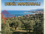 1061 rengarenk ten tekirdağ şarköy mürefte  4 dönum deniz manzaralı arsa