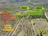 1126 RENGARENK TEN TEKİRDAĞ ŞARKÖY MUREFTE DE ARSA